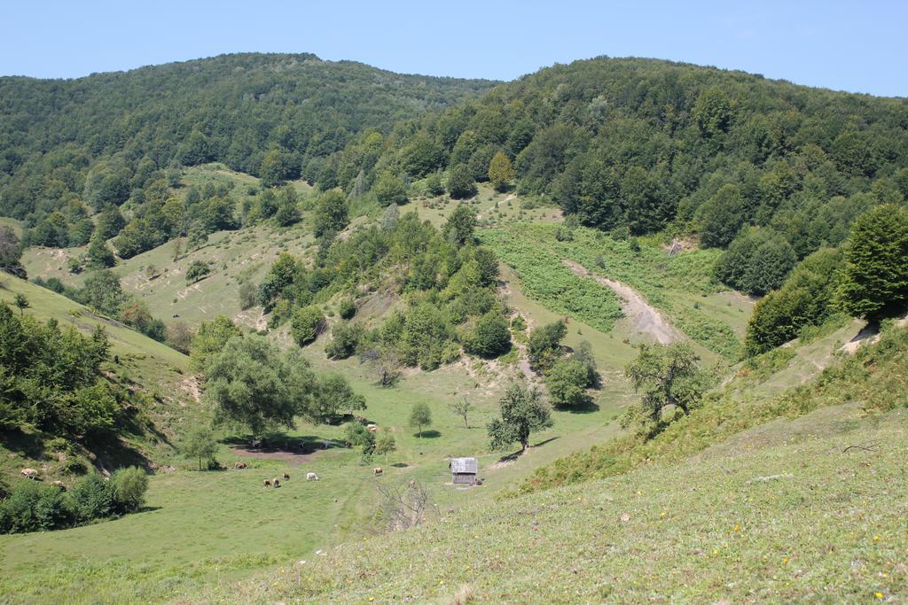 Svit Sontsya Tur'ya Polyana Esterno foto