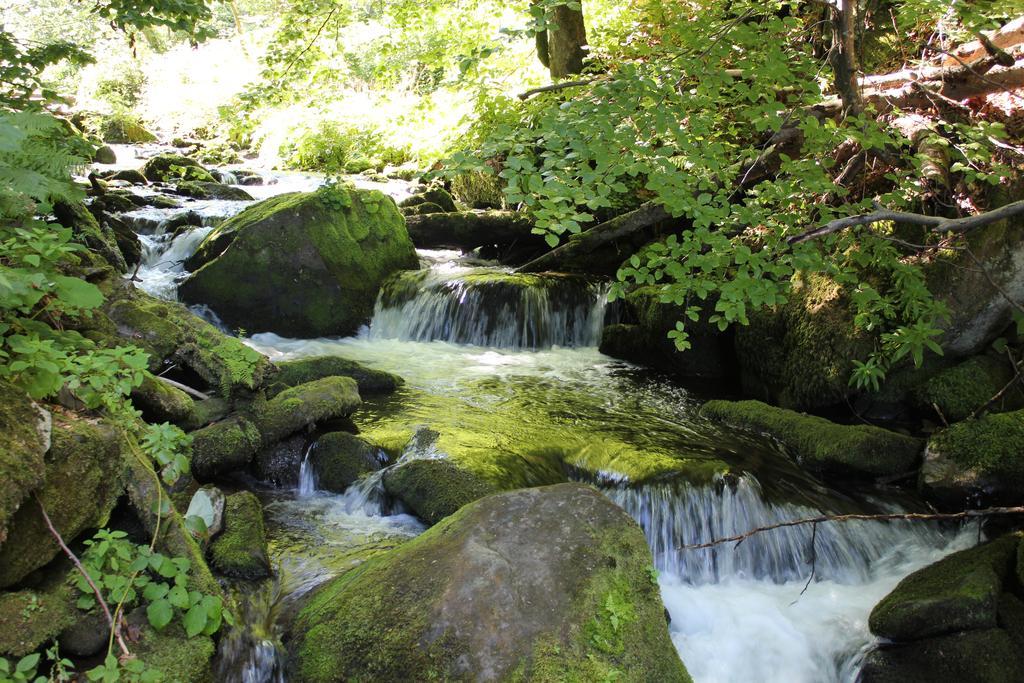Svit Sontsya Tur'ya Polyana Esterno foto